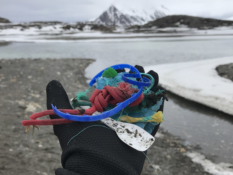 How Our Cafeteria’s Plastic Sporks Sparked My Students’ Empathy for the Earth