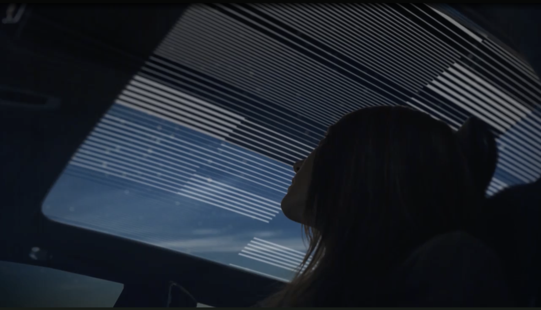 nmprofetimg-22.png