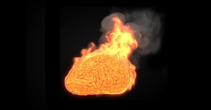 brain2.jpg
