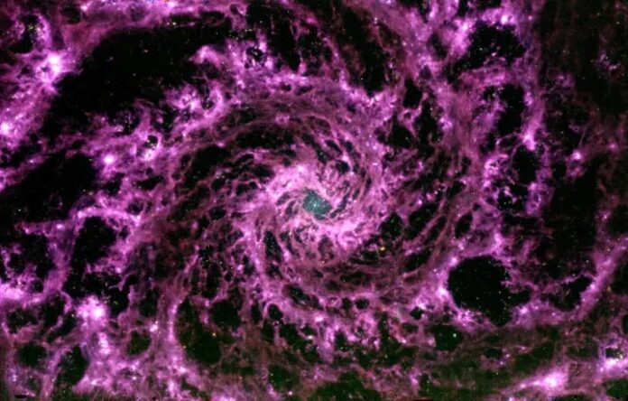 m74_jwst_miri_full1.webp.jpeg