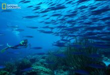 National Geographic Announces ‘BEST OF THE WORLD 2022’ List, Unveiling 25 Extraordinary Places and Communities To Inspire Your Next Trip
