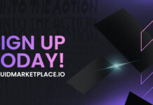 Collecting with Friends Made Easy: LiquidMarketplace’s Co-Ownership Concept
