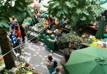 Focus on what you eat, not whether it’s local