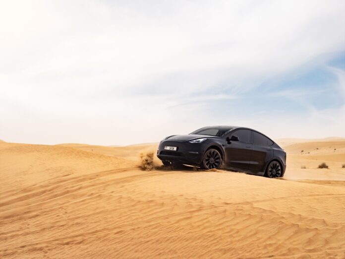 ModelY_66-scaled.jpg