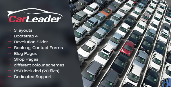 01_carleader.__large_preview.jpg
