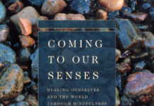 Unlock Inner Peace: “Coming to Our Senses” by Jon Kabat-Zinn
