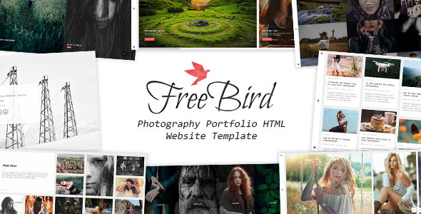 freebird-cover-image.__large_preview.png