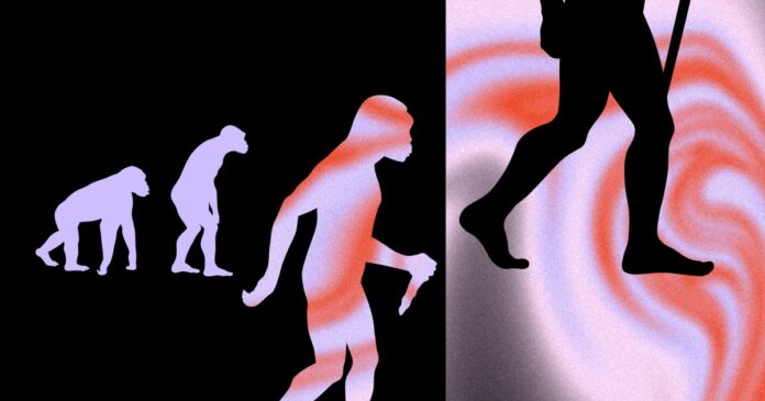 New-Stoned-Ape-Theory.jpg