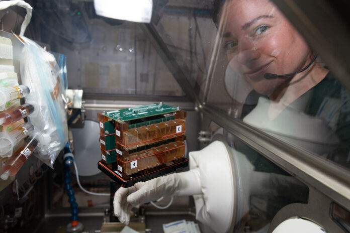 nasa-astronaut-jessica-meir-conducts-cardiac-research-49757396171-o.jpg