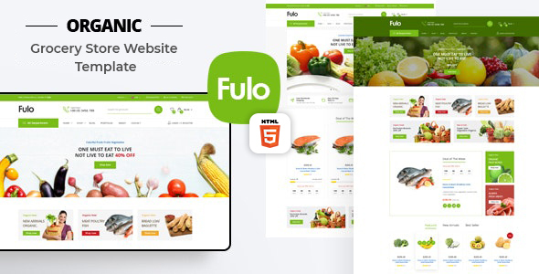 01_preview_fulo-html.__large_preview.jpg