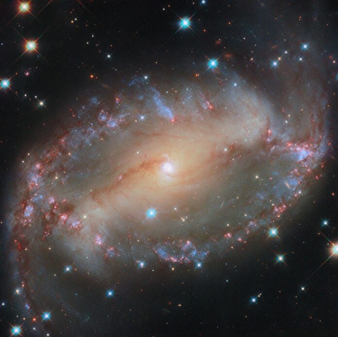 hubble-ngc2566-potw2451a.jpg