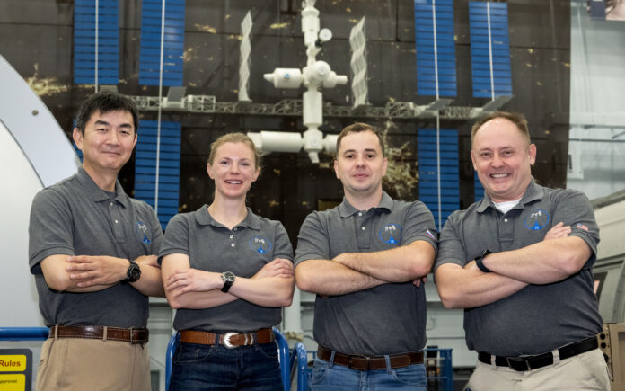 crew-11.jpg