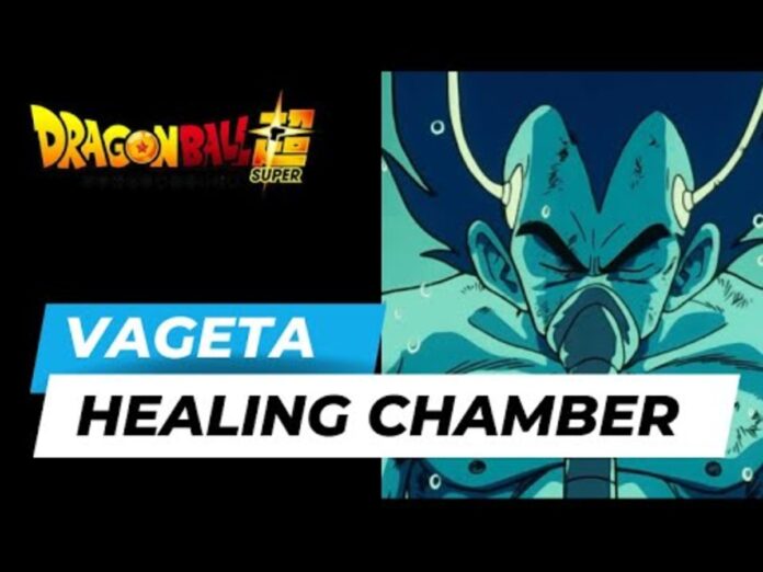 vegeta chamber