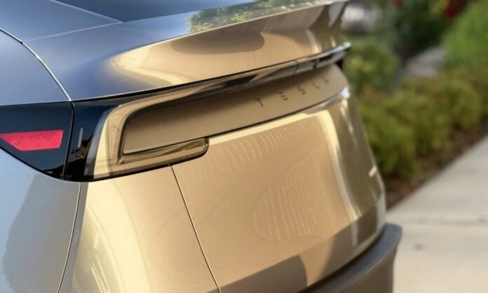 tesla-logo-rear-1000x600.jpeg