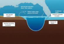 Mike deGruy and the Alien World of Underwater Brine Pools: A Cinematic Legacy Diagram showing brine pool formation in the Gulf of Mexico with salt deposits dissolving to create hypersaline water layers