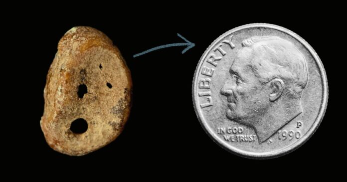Dime-sized-Bone.jpg