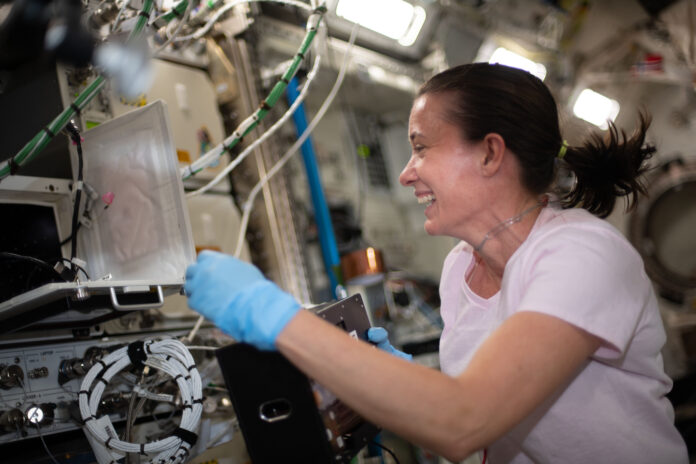 megan-mcarthur-iss.jpg