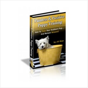 2 Hours to a Trained Puppy