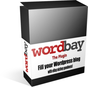 Make Money From Ebay Visitors