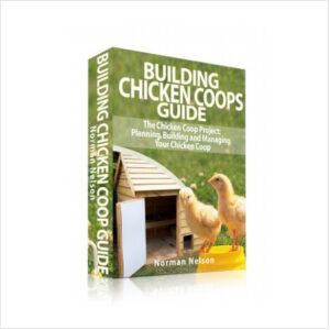 Chicken house