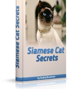 Siamese Cat Secrets