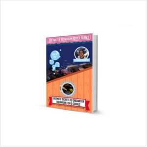 Saltwater Aquarium Secrets