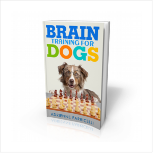 Brain Training For Dogs