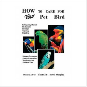 Care For Your Pet Bird