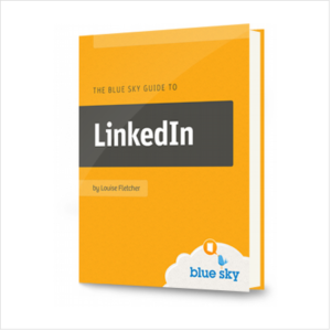 The Blue Sky Guide To Linkedin