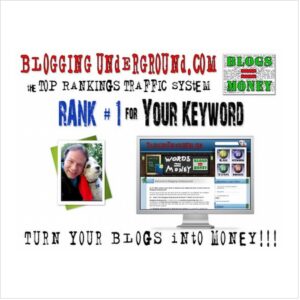Turn Your Blogs InTo Money