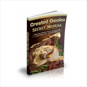 Crested gecko secret manual