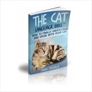 How To Finally Speak Cat