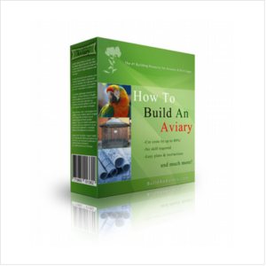 Build an aviary in a weekend