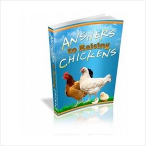 Answers to raising chickens