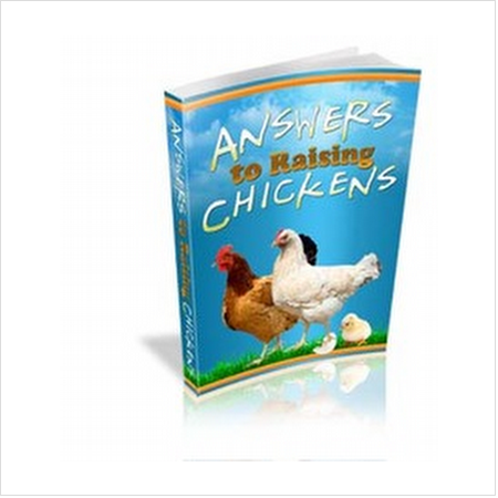 Answers to raising chickens