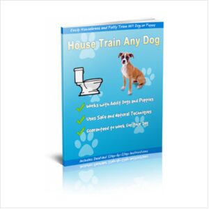 Housetrain any dog
