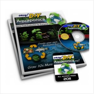 Grows Plants Without Soil