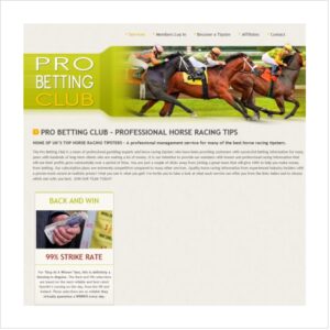 Professional Betting Service