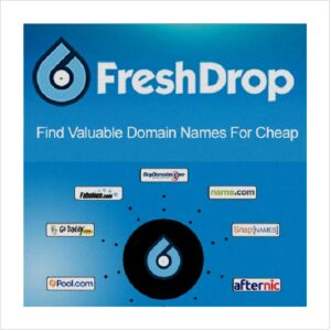 Expired Domain Search Engine