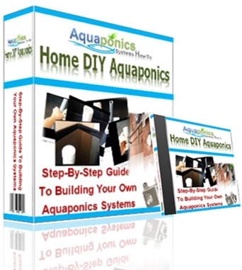 Build Your Aquaponics System