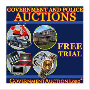 Guide To Government Auctions