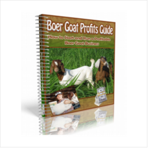 Boer Goat Profits Guide