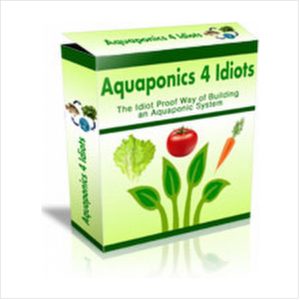 How to DIY aquaponics