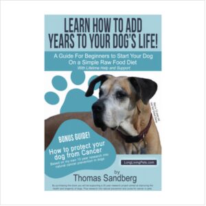 Add years to your dog's life