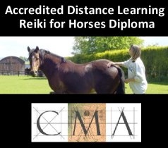 Reiki For Horses handbook