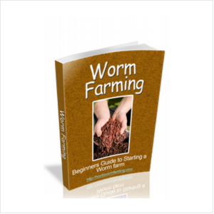 Worm Farming for Dummy