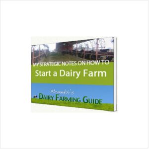 Dairy Farming Guide By Momekh