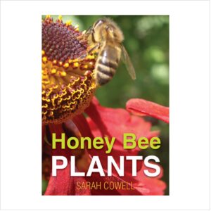 Honey bee plants