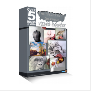 Drawing video course