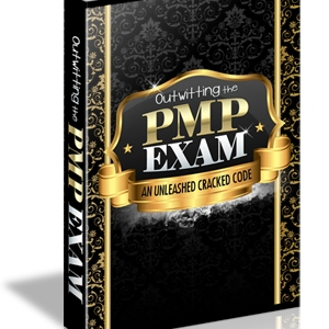 Outwitting The Pmp Exam